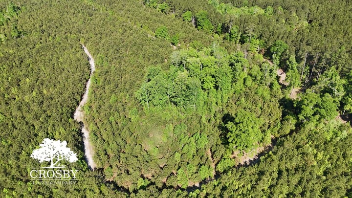 Dji 20260415103204 0065 D