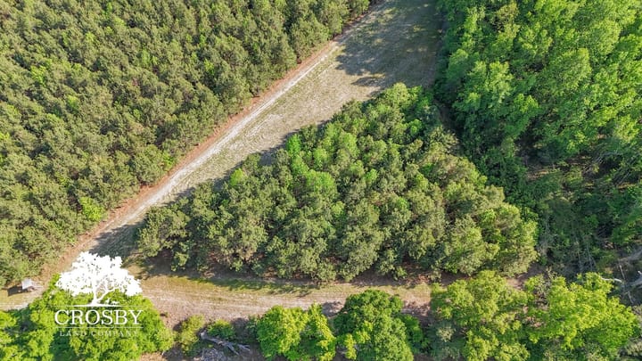 Dji 20260412170829 0049 D