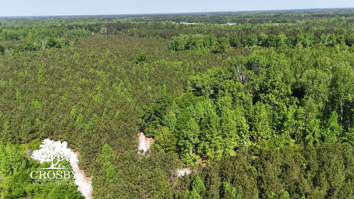Dji 20260415103959 0074 D