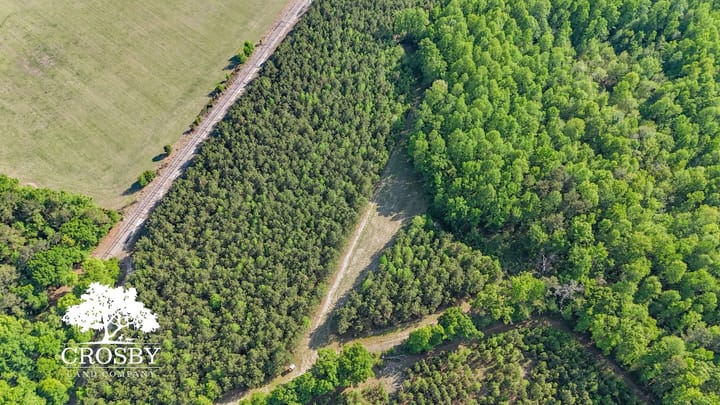 Dji 20260412170640 0045 D