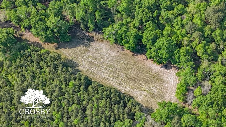 Dji 20260412164228 0039 D