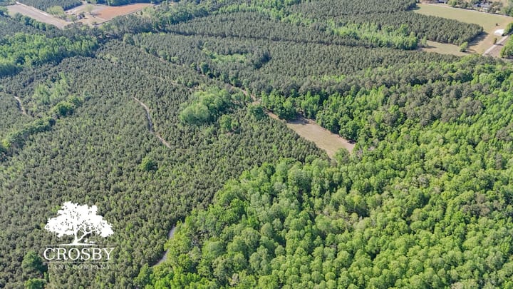 Dji 20260412164344 0041 D