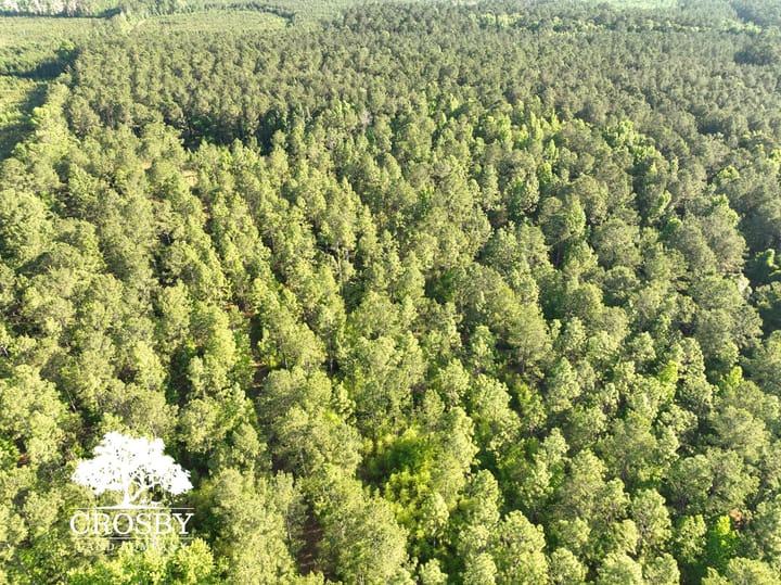Dji 0028