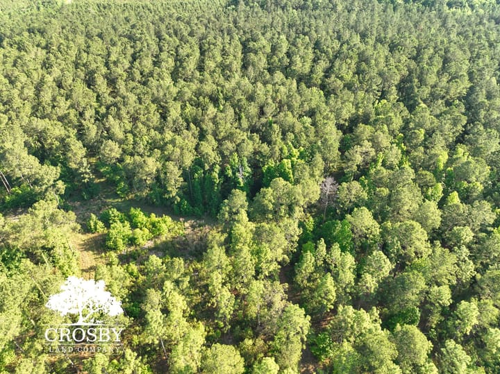 Dji 0029