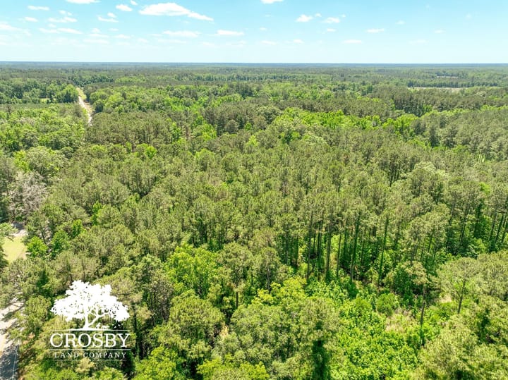 Dji 0027