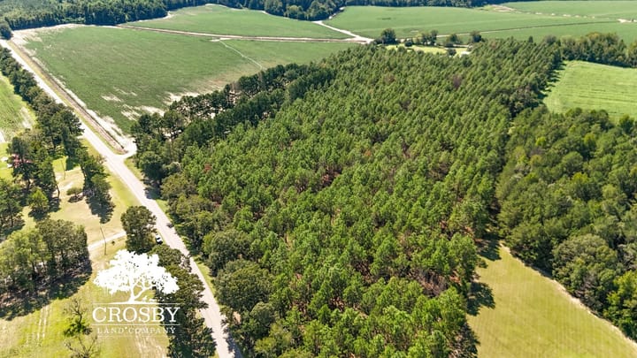 Dji 20260831160624 0007 D