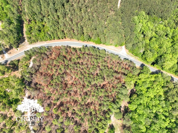 Dji 20260508144715 0061 V