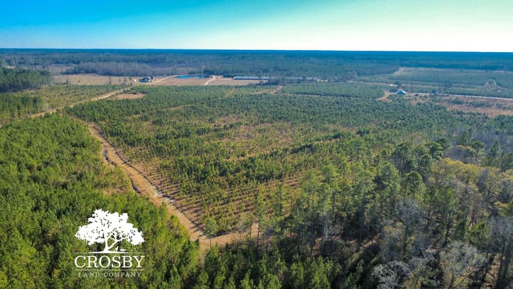 Dji Fly 20251231 144130 349 1767210264784 Photo Optimized