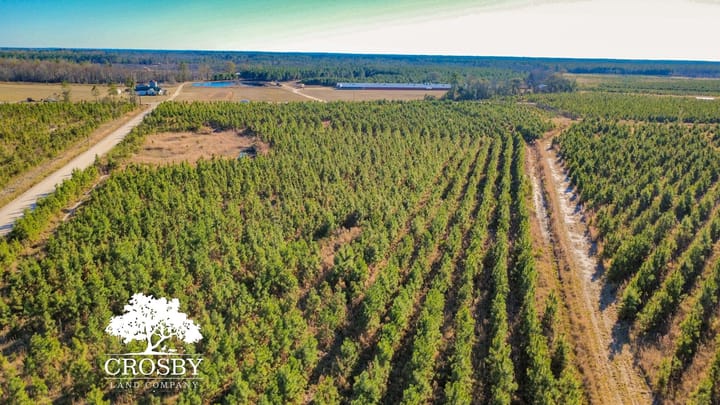 Dji Fly 20251231 150616 361 1767212313323 Photo Optimized