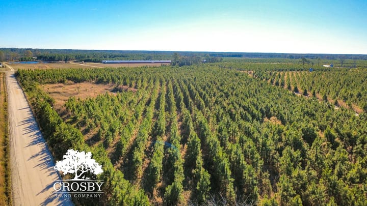Dji Fly 20251231 150458 352 1767212321397 Photo Optimized