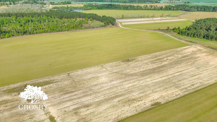 Dji 20260403172540 0021 D