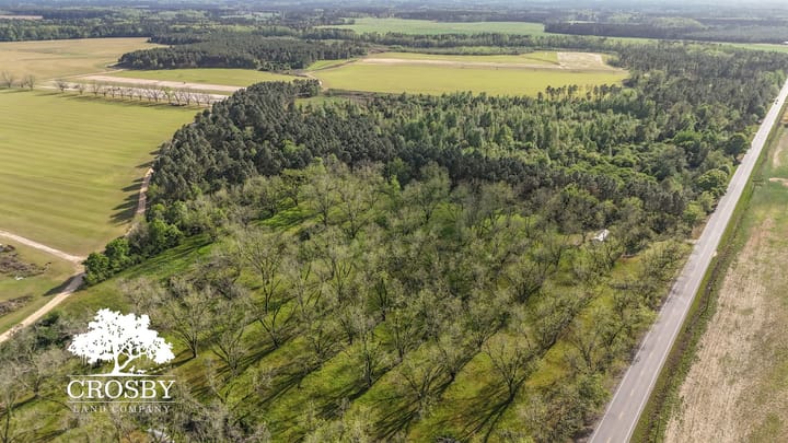 Dji 20260403172318 0018 D