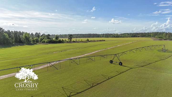 Dji 20260403172746 0024 D