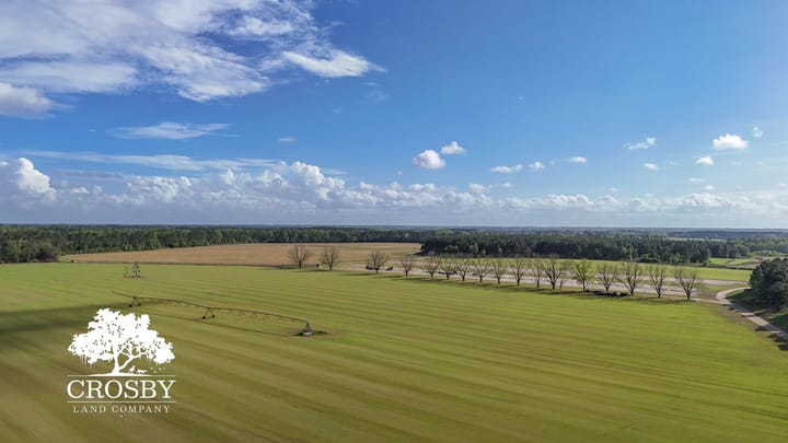 Dji 20260403172208 0016 D
