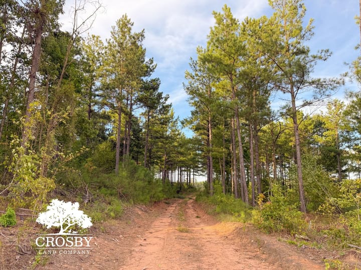 Img 4076