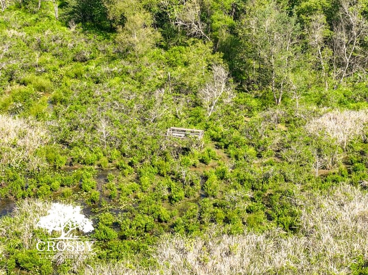 Dji 20260503100935 0010 V