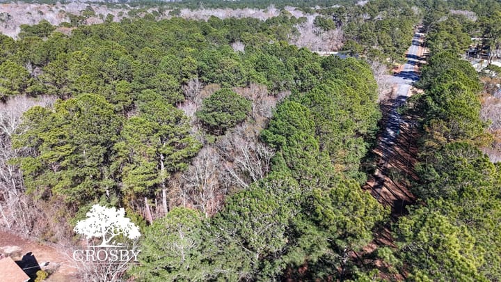 Dji 20260216150023 0013 D
