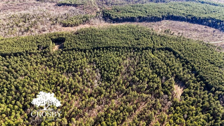 Dji 20260212154811 0026 D