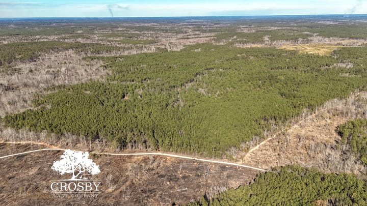 Dji 20260212145640 0005 D