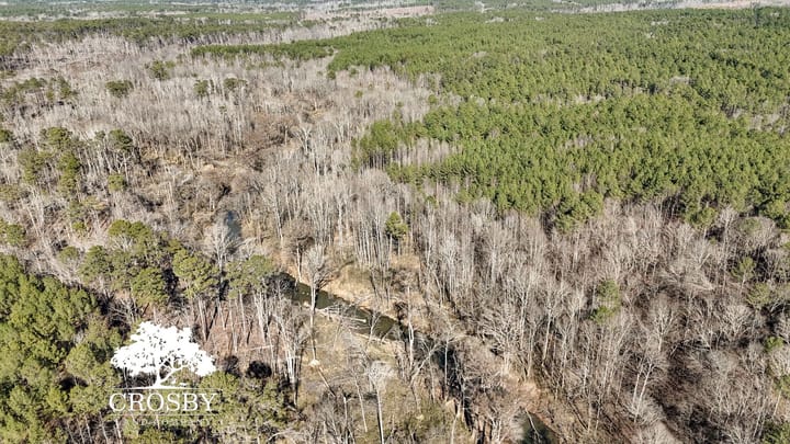 Dji 20260212145827 0006 D