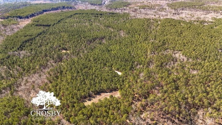 Dji 20260212141735 0001 D
