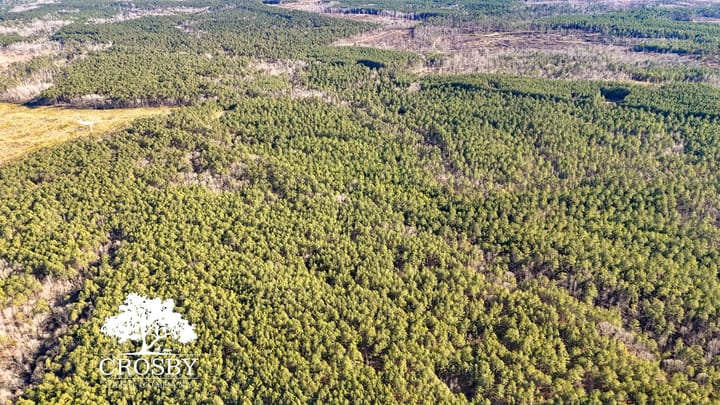 Dji 20260212154940 0028 D