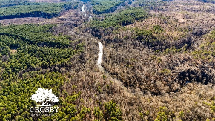 Dji 20260212154913 0027 D