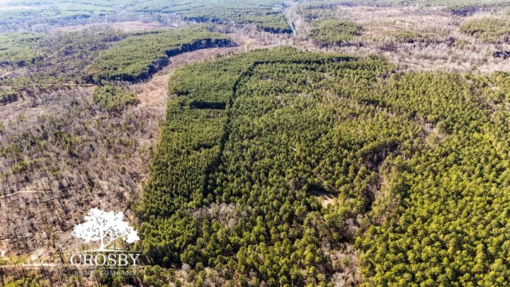 Dji 20260212154540 0025 D