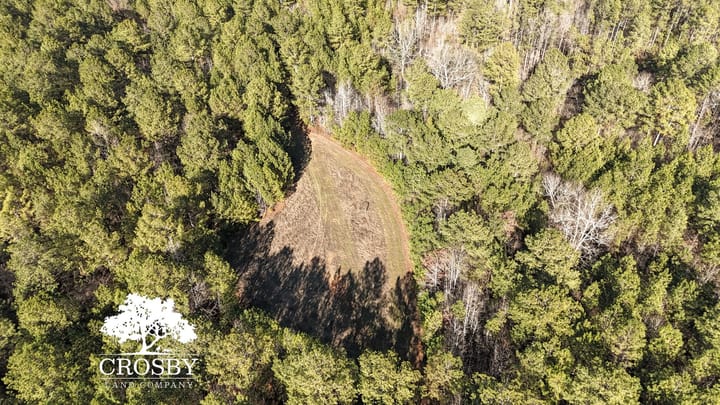 Dji 20260212151623 0020 D