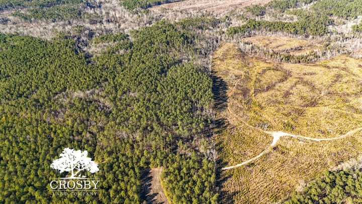Dji 20260212154521 0024 D