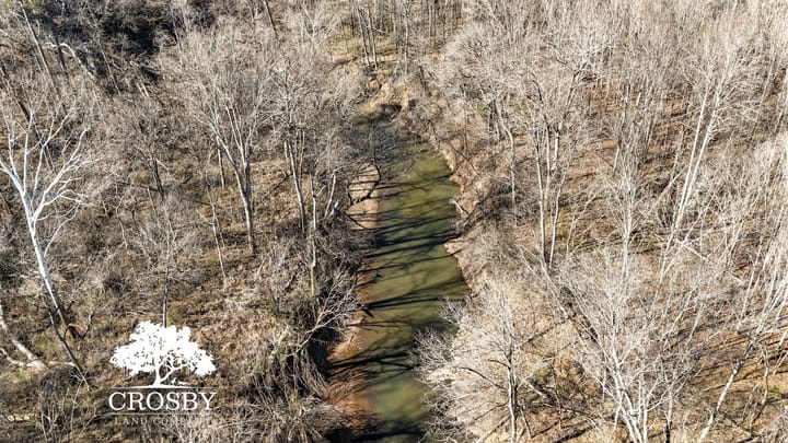 Dji 20260212150237 0011 D