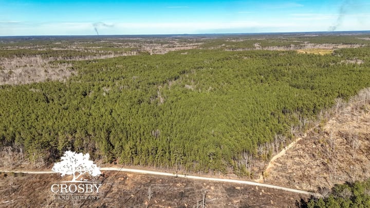 Dji 20260212145600 0004 D