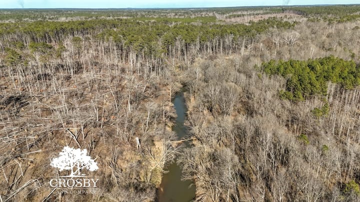 Dji 20260212150720 0014 D