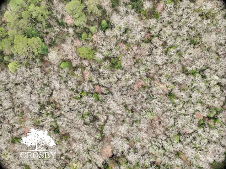Dji 20260308100549 0032 V