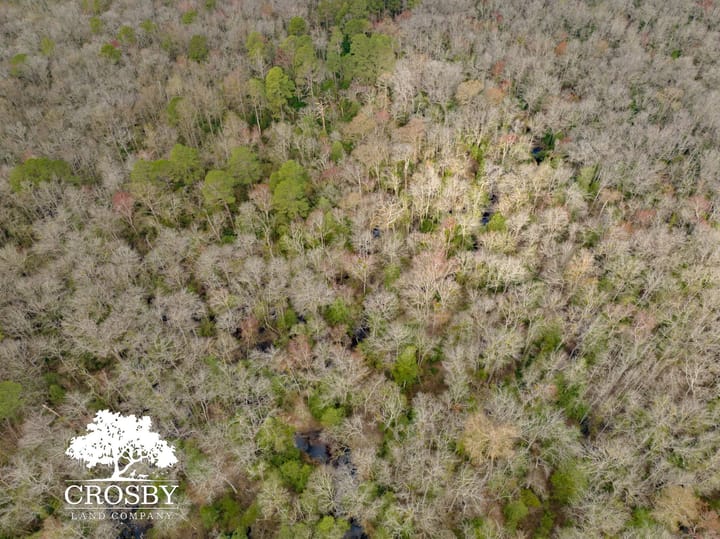Dji 20260308100400 0027 V 2
