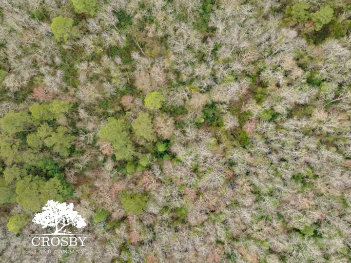 Dji 20260308100552 0033 V 2