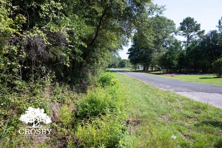  Dsc1735