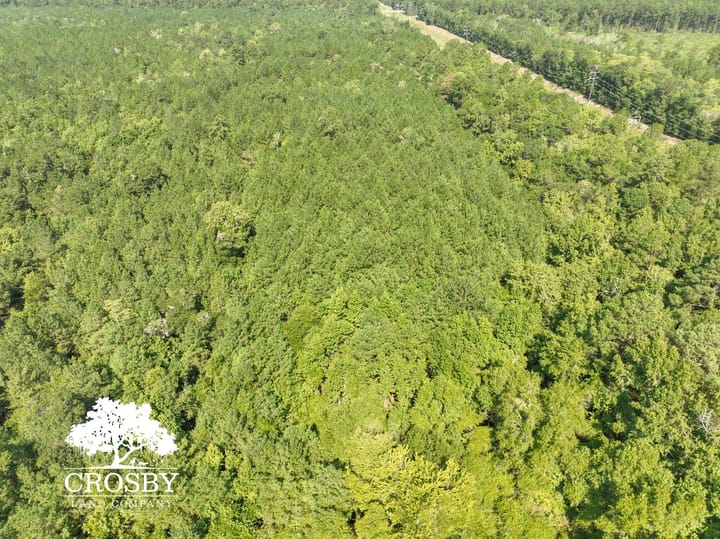 Dji 0300