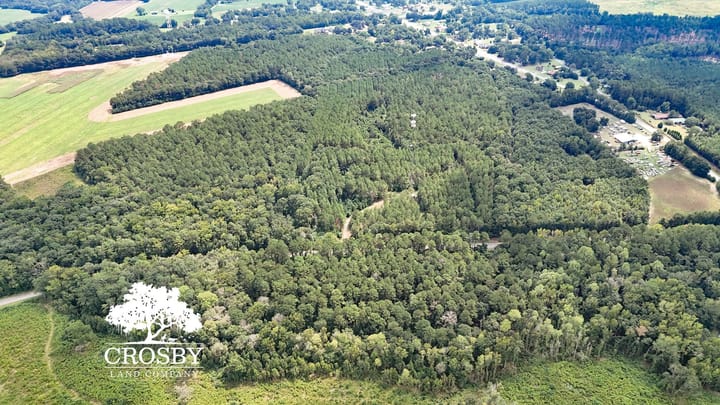 Dji 20260915132804 0001 D