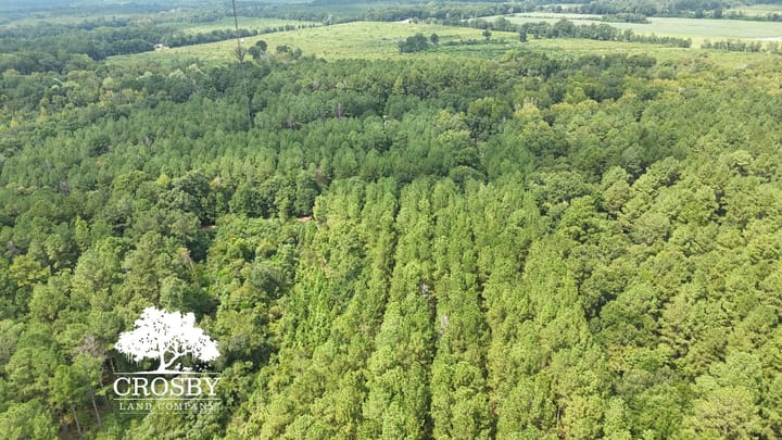 Dji 20260915133344 0006 D
