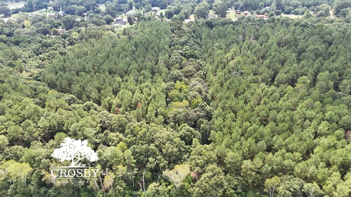 Dji 20260915133304 0005 D