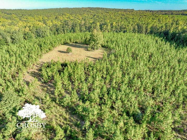 Dji 0361