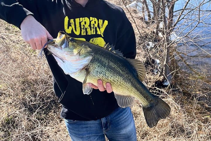 Rolling Six Bass