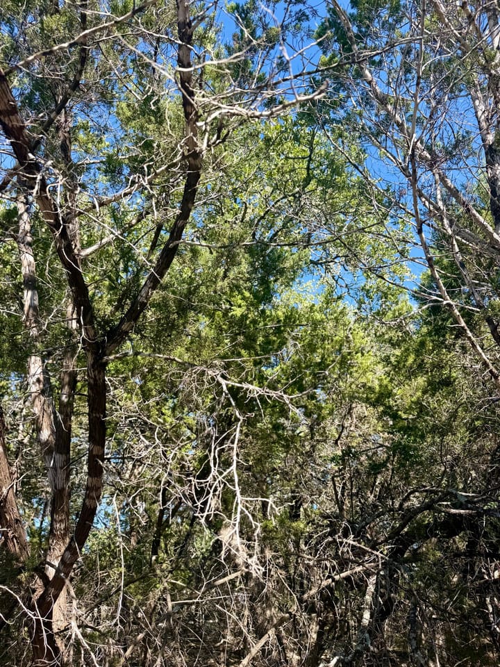 Img 0606 Jpeg