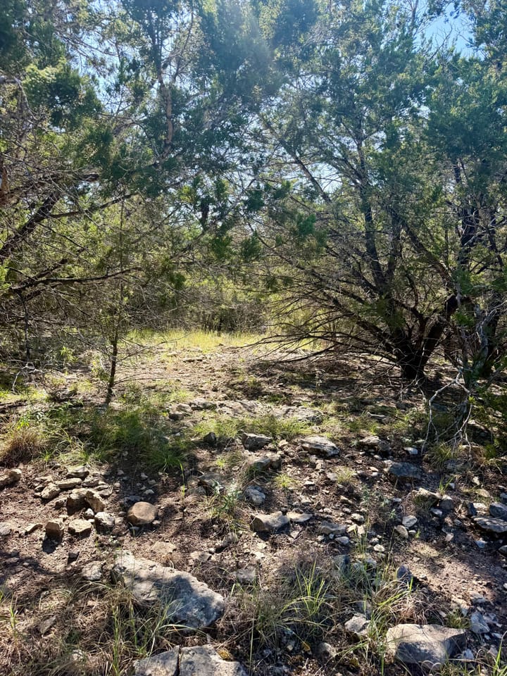 Img 0604 Jpeg