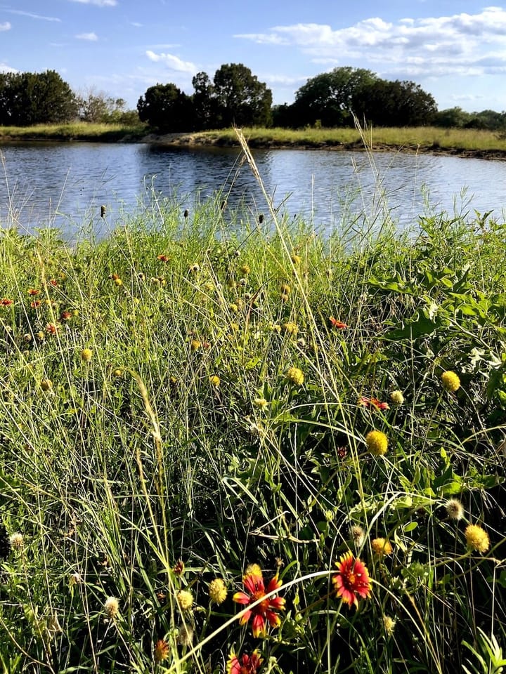 8526 Hwy 90 W