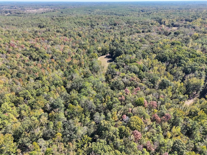 Dji 20261019130351 0007 V Jpg