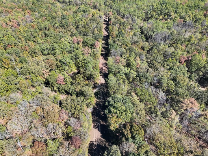 Dji 20261019130232 0005 V Jpg