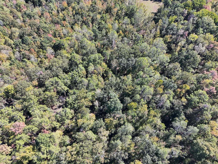 Dji 20261019130403 0008 V Jpg