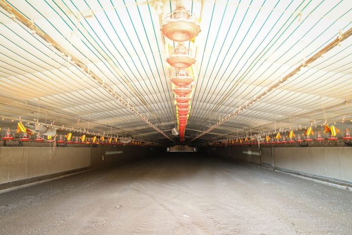 Farm13